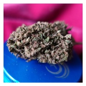 *NEW Special Sale* Apple Fritter (1oz - $80 / 2oz - $150) (THC 25%) thumbnail 3