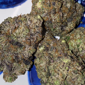 Armageddon death 💀⛽️