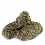 DIRTY GIRL AAA+ HYBRID - (3 OZ FOR $95) (8 OZ FOR $200)