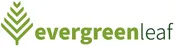 EVERGREEN LEAF