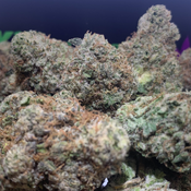 (NEW) Blue Trainwreck  **$140** thumbnail 3