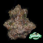 Astro Pink 30% THC  – Premium Kush from Another Galaxy $100 Oz , $150 for 2 ozs