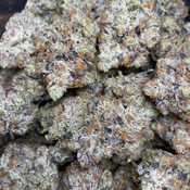 PINK GOO⛽🔥🔥🔥🔥🔥 