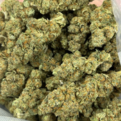 $100 Gastro Pop — 33% THC Indica • 2 Ounces for $160 thumbnail 2