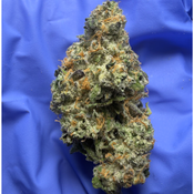 BLACK MELON (Black Patronus x Blueberry Bang Bang)