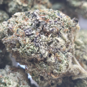 (NEW) SlurriCrasher $120/Oz 🔥  thumbnail 3