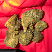 Biscotti • Hybrid • 24–28% THC • 1 OZ $50 • 2 OZ $80 • 3 OZ $120 • 4 OZ $145 thumbnail 3