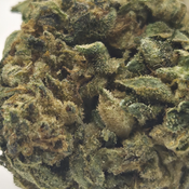 (NEW) Boat Gas 🚢 ⛽️ ($75/oz) 🔥 
