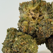 Brainstorm | Value Buds | $100 an ounce | $150 for 2 ounces | thumbnail 2