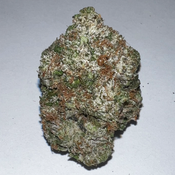 Ghost OG thumbnail 2