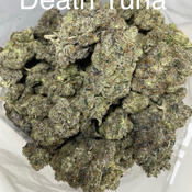 DIABLO DEATH TUNA👹☠️🍣 - 75/25 INDICA  thumbnail 2