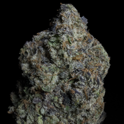 Pink Bubba