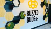 Buzzed Buds (Uxbridge)
