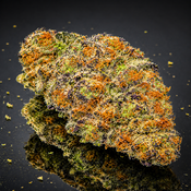 "Premium" Grease Monkey - Hybrid 70% Indica / 30% Sativa - THC 31% - CBD 1%