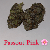 5A Passout Pink 💗 💣💗💣💗💣💗💣