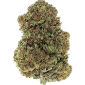 $200 FOR QP - ALIEN CANDY OG KUSH