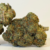 Burn Out | Value Buds | $100 an ounce | $150 for 2 ounces | thumbnail 2