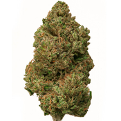 $90 OZ - Zombie OG 