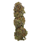 BC (AAA+) PURPLE KUSH  thumbnail 3