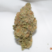 Gator Breath Indica Dominant Hybrid AAA