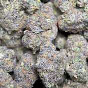 (28G) - Rare Darkness 😮‍💨🌚Indica | 2 Oz Left thumbnail 3