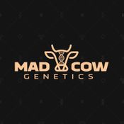 Mad Cow
