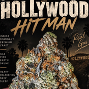 Hollywood Hitman