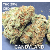  (BUY. 1  OZ FOR $80 CASH) DIONYSUS OZ-$85  1/2 0Z- $50 1/4 -$35 1/8-$25    - duplicate - duplicate