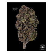 AA - NORTHERN LIGHTS