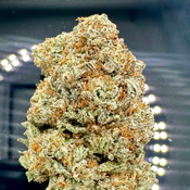 * NEW * Jet Fuel