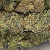 Crop Dusters | Indica | 23-28% THC | $60 an oz | $80 for 2 ozs | WHOLESALE AVAILABLE | thumbnail 2