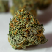 $200 FOR QP - Pink Star 