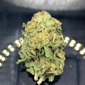 Cobra Milk AA [ 2 Ounce 80$ ]