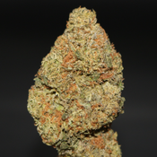 AAAA | CANDYLAND BY BLUE COLLAR BOYZ - 7G