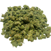 AAAA Bubble Gum Gelato