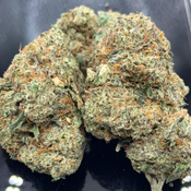 Bluefin Tuna Kush 4A 