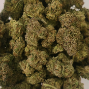 Chemdawg [AAA] thumbnail 2