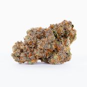 Honey Moon | 3.5g Indoor