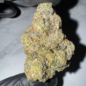 Black Out Bobby | 25-29% THC | INDICA | $100 OZ | $180 / 2 OZ thumbnail 2