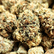 ***ON SALE*** Grizzly OG (Mega Value Gas), 3oz @ $160, 4oz @ $200