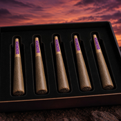 5 PRE-ROLLED JOINTS