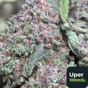 (28G) - Purple Queen 👸  - 4Oz Bulk Deal for $220 thumbnail 3