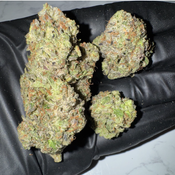 Death Gas | 29-32% THC | HYBRID | $135 OZ | $255 / 2 OZ thumbnail 3