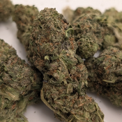 AAA GELATO 