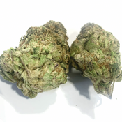 Racoon Sativa