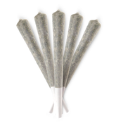 10 KING SIZE PLATINUM KUSH PRE-ROLLS