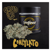 ConeyLato by Sheefy McFly