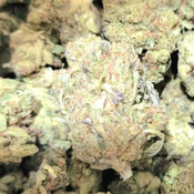 God's Kush (Mega Value Indica) 2oz @ $80, 4oz @ $130