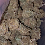 Pink gushers - | 2oz’s FOR $90 |