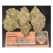***NEW SPECIAL*** DOSI PIE (AAAA)